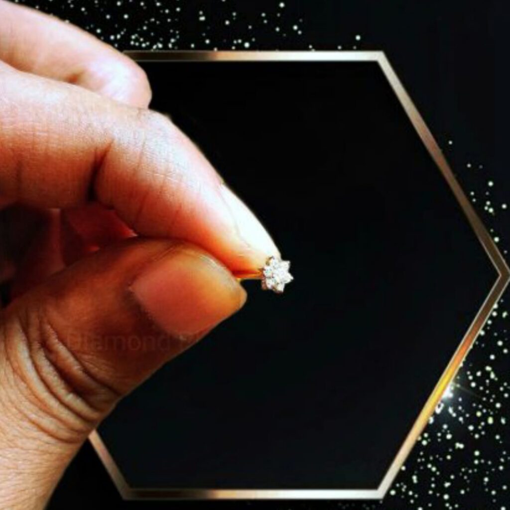 alibd ali bd 7 Stone Nosepin (Small Size)