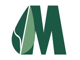 modern herbal